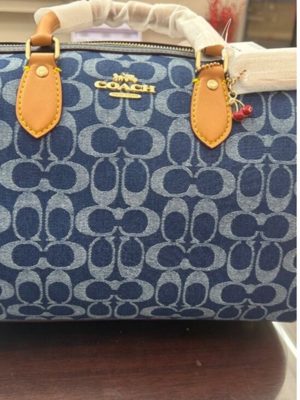 Coach Rowan Satchel Bag In Signature Denim Canvas NWT CY699